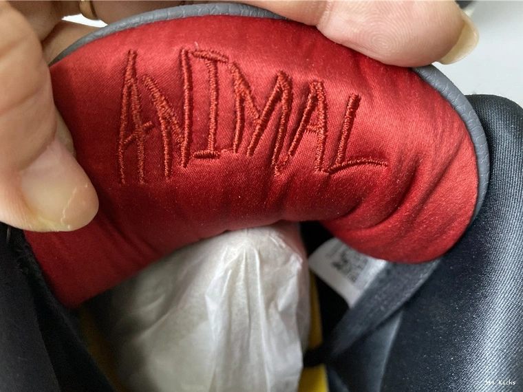 Jordan Instinct CV3583-003 2.0” 3 SE Air “Animal 1028